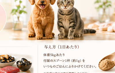 元気な愛犬と愛猫