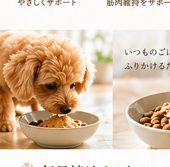 ふりかけをかけたごはんを食べる犬
